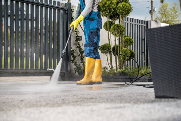 Best Roof Cleaning and Mildew Removal in Greencastle, IN